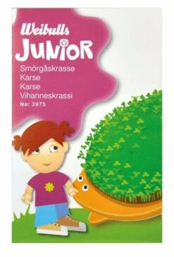JUNIOR Karse