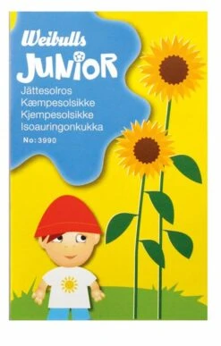 JUNIOR Kæmpesolsikke