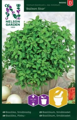 Basilikum Kugleformet