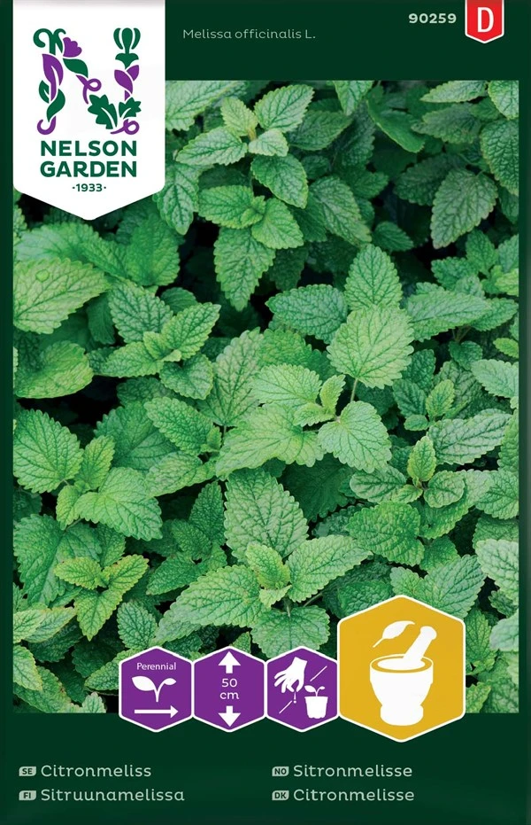 Citronmelisse 1 Citronmelisse