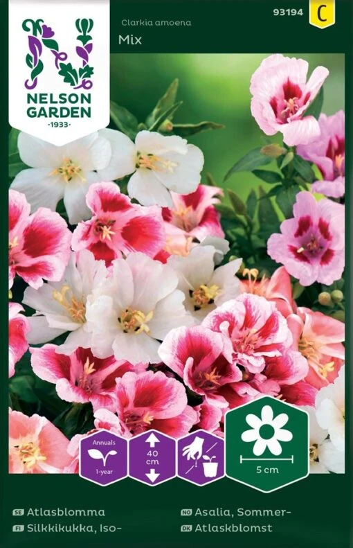 Atlaskblomst -Planter Salgsbutik 93194