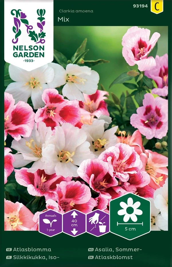 Atlaskblomst 1 Atlaskblomst