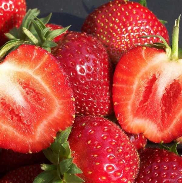 Jordbærplante `Malwina` 6 Stk. 1 Jordbærplante `Malwina` 6 Stk.