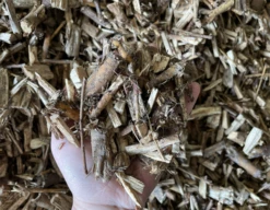 Pileflis - økologisk