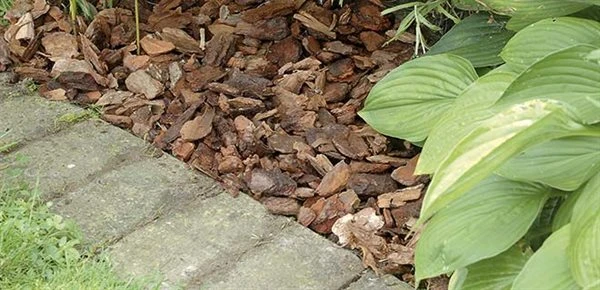 Pinjebark Fra Osmo 1 Pinjebark Fra Osmo