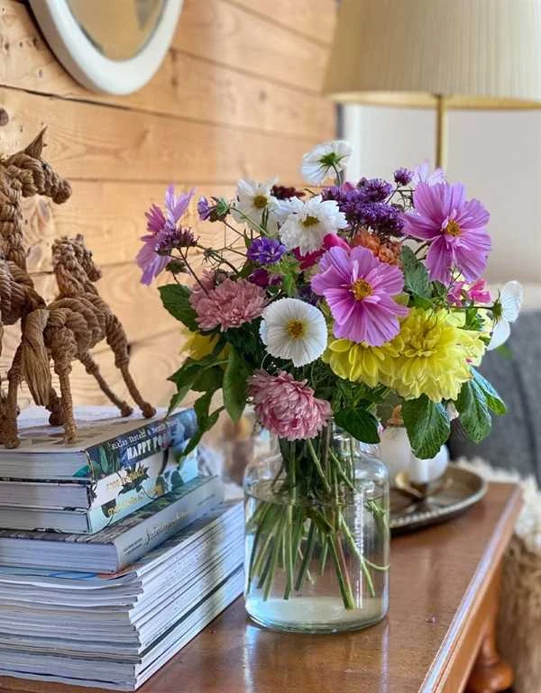 Frøkit Til Tivoli Buket 1 Frøkit Til Tivoli Buket