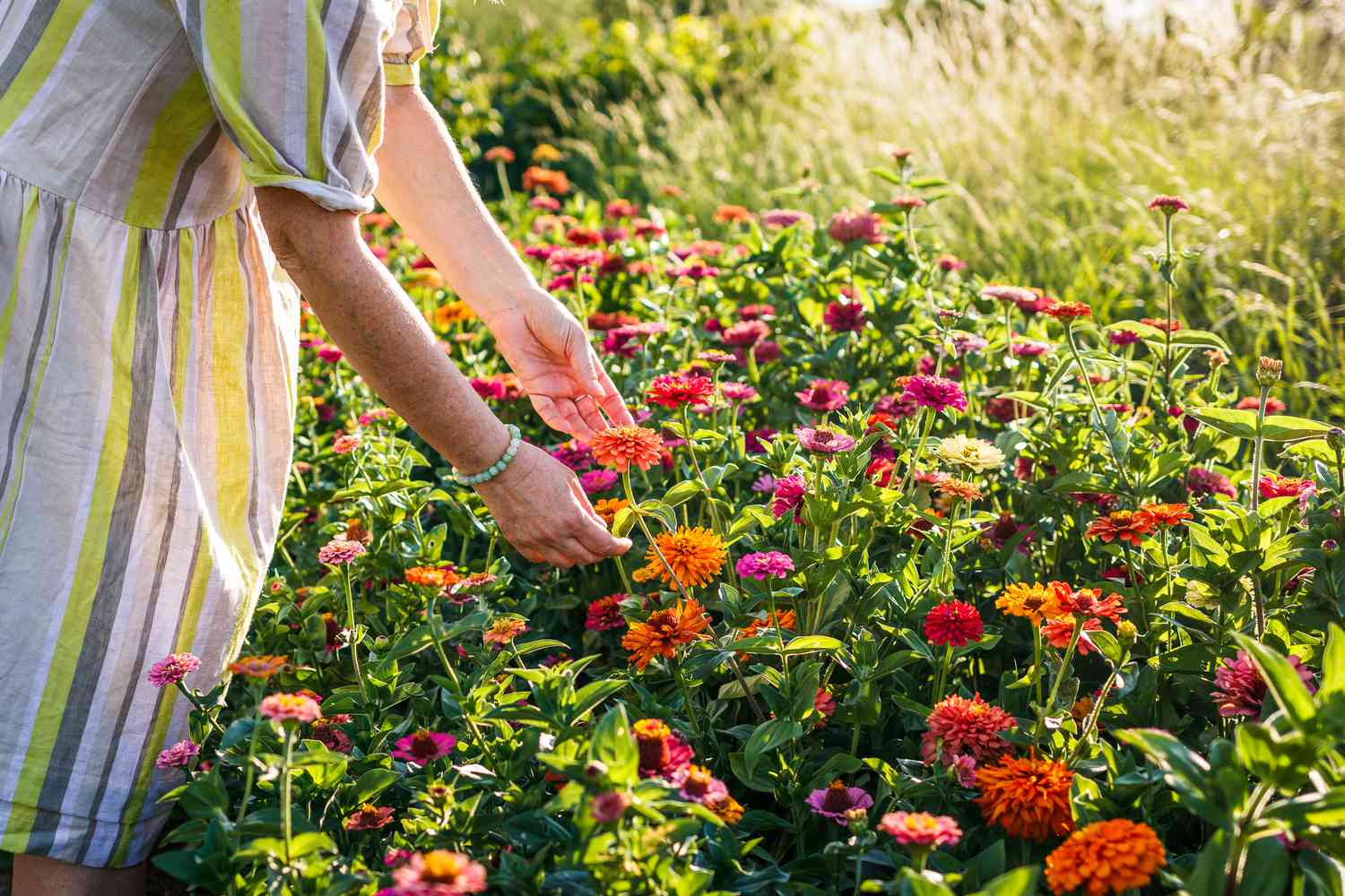 Planter Salgsbutik -Planter Salgsbutik long lasting cut flowers bouquets lead getty 0523 67c9ff1a125d4442aebce150c078e07c